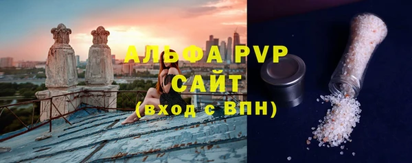 сатива Аркадак