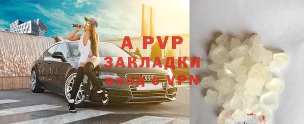 сатива Аркадак