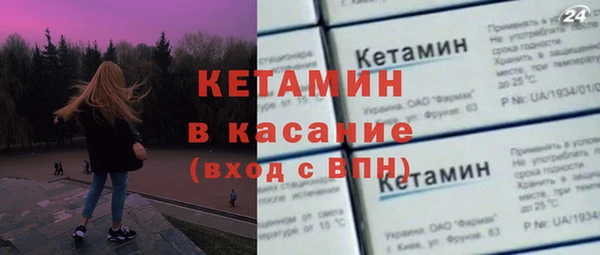 сатива Аркадак