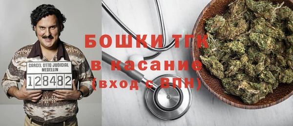 сатива Аркадак