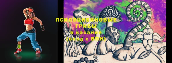сатива Аркадак