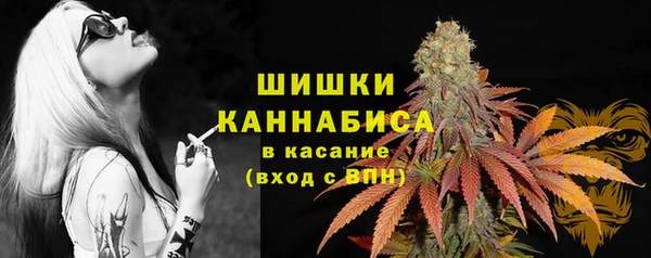 сатива Аркадак